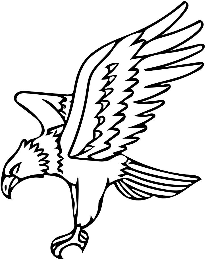Herren T-Shirt Adler 4