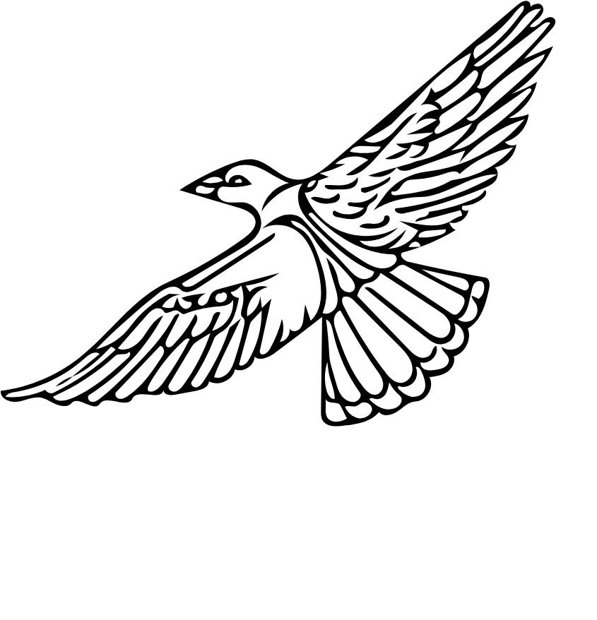 Frauen T-Shirt Adler 6