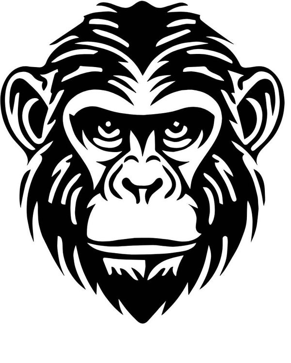 Turtleneck Short Top Affee 1