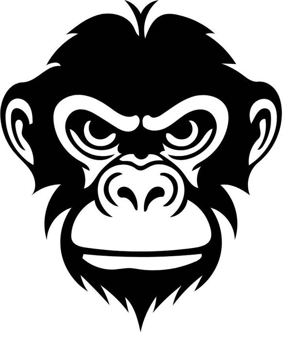 Turtleneck Short Top Affee 3