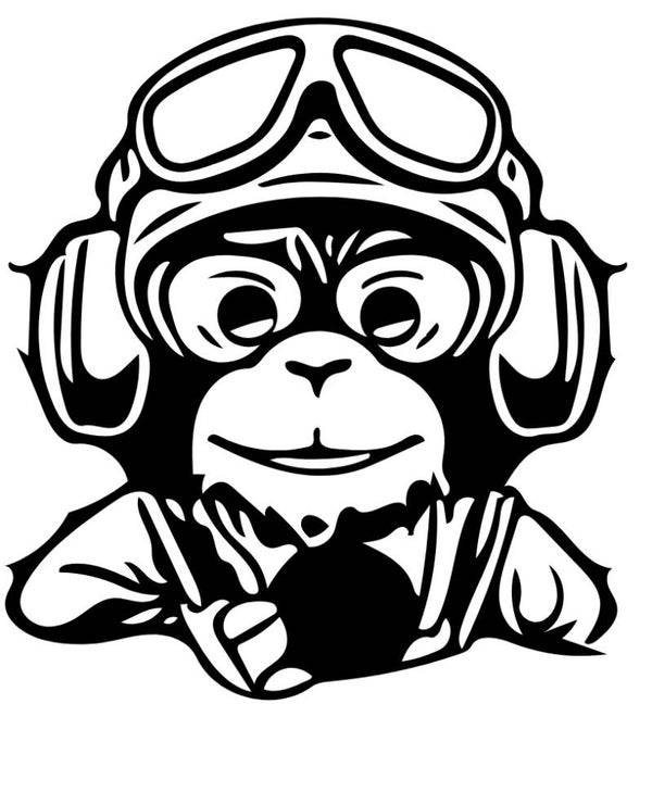 Turtleneck Short Top Affee 4