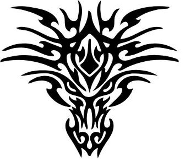 Langes Shirt/ Kleid Drachen 8