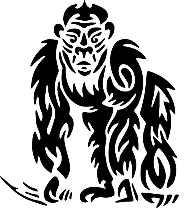 Cami Top Auge Gorilla 2