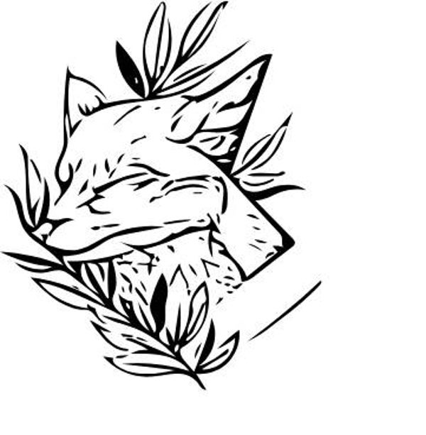 Langes Shirt/ Kleid Katze 4