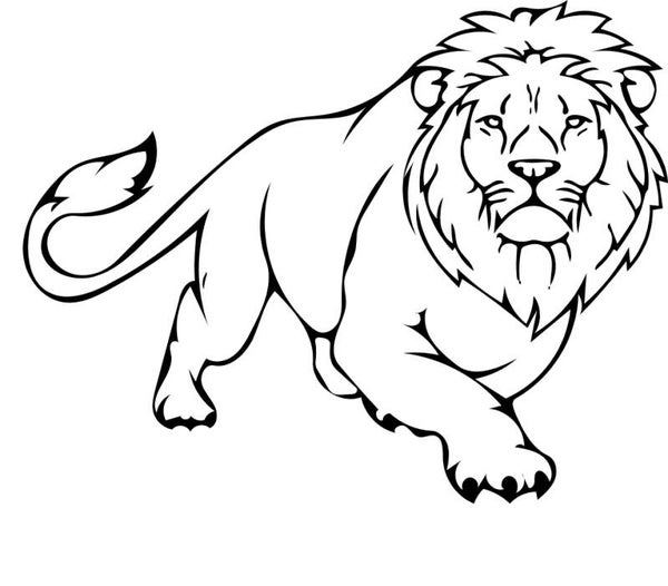 Turtleneck Short Top Löwe 13