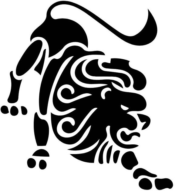 Langes Shirt/ Kleid Löwe 4