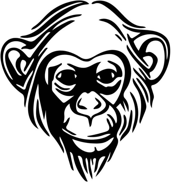 Kinder Affe 2 T-Shirt