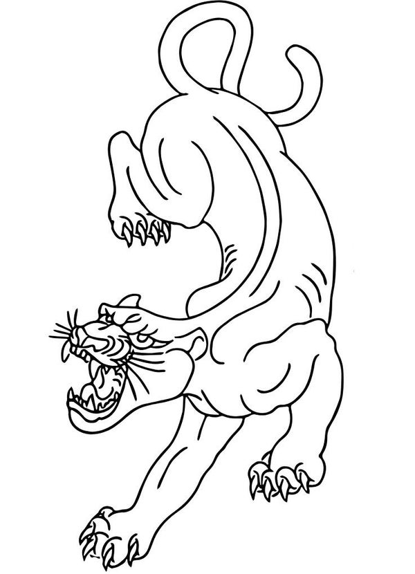 Corporate Top Keyhole Panther 2