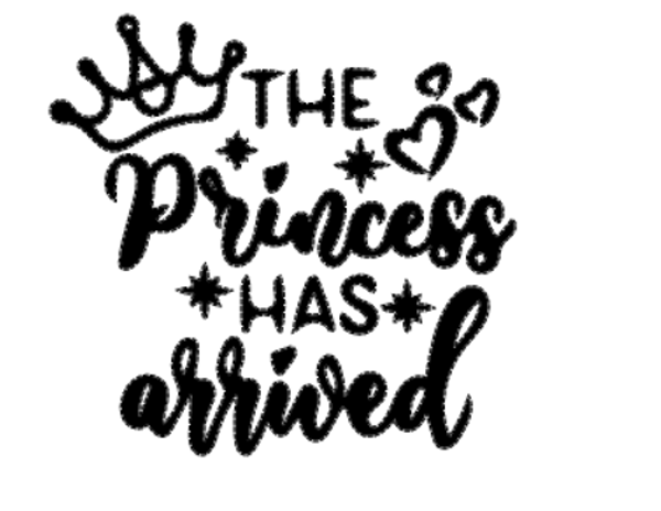 Frauen T-Shirt Princess 15