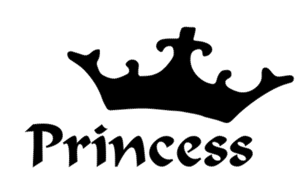 Langes Shirt/ Kleid Princess 2