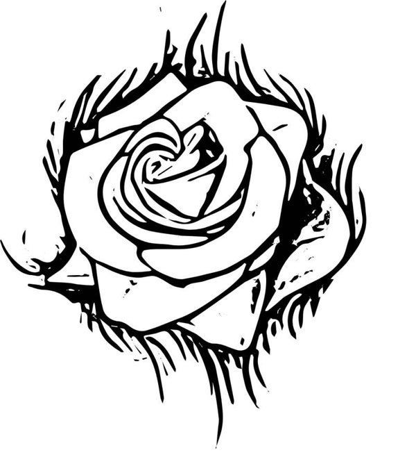 Turtleneck Short Top Rose 1