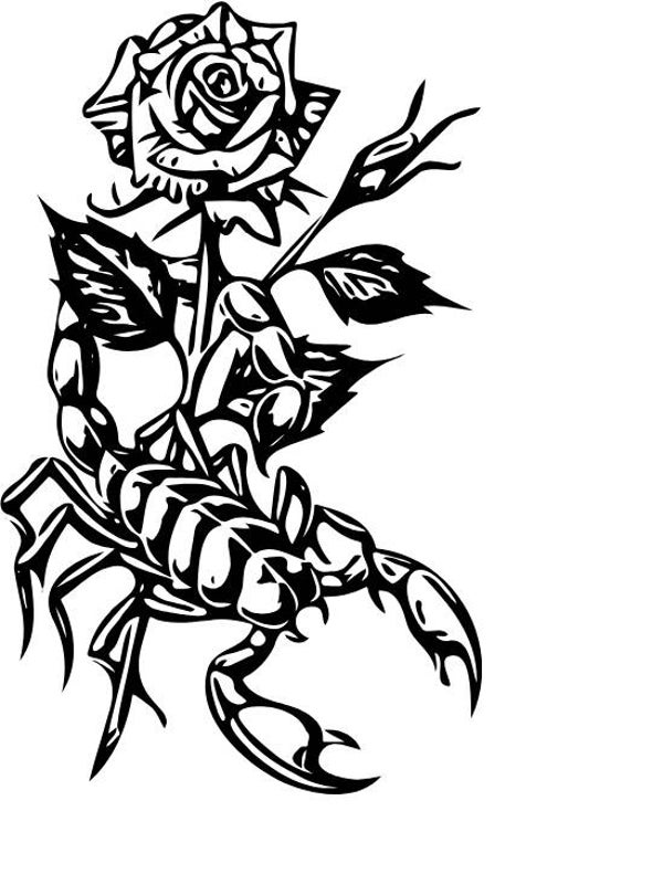 Turtleneck Short Top Rose 14