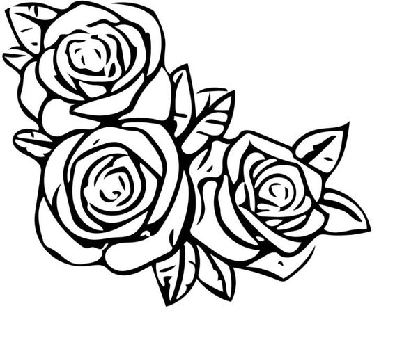 Turtleneck Short Top Rose 2