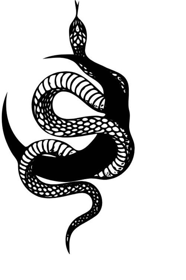 Turtleneck Short Top Schlange 12