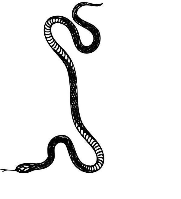 Turtleneck Short Top Schlange 13