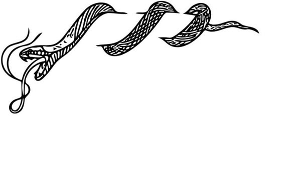 Turtleneck Short Top Schlange 14