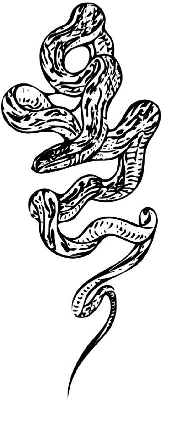 Kinder Schlange 15 T-Shirt