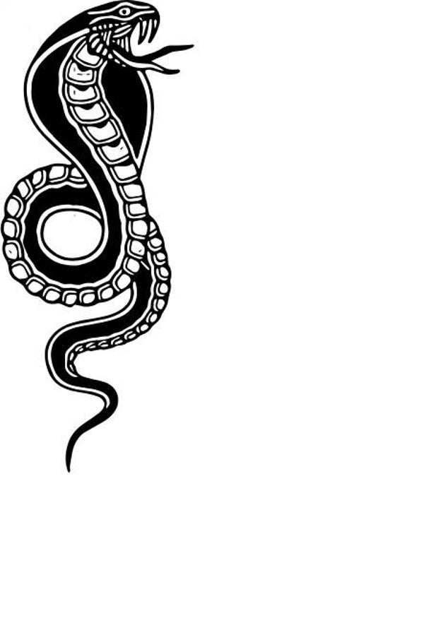 Corporate Top Keyhole Schlange 18