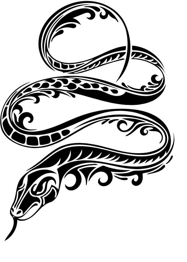 Turtleneck Short Top Schlange 19