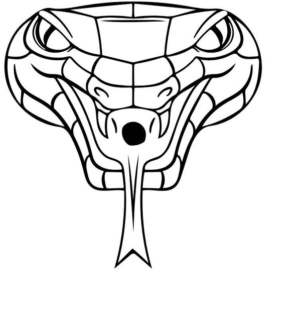 Corporate Top Keyhole Schlange 2