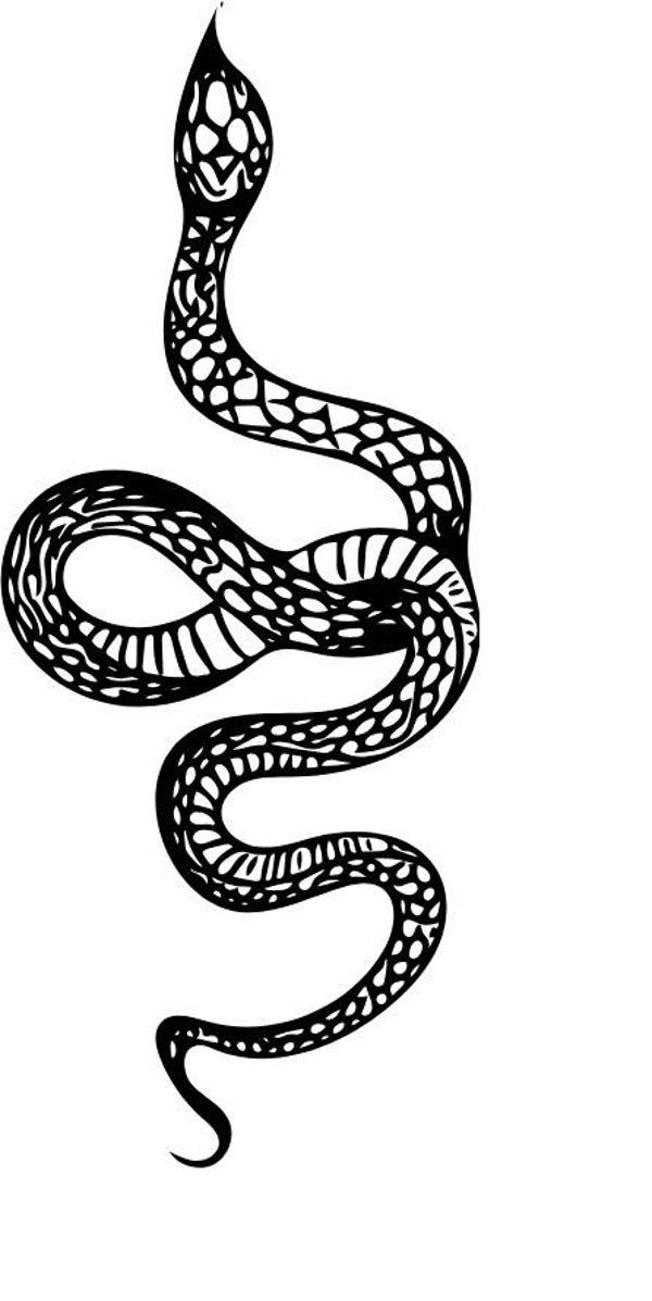 Turtleneck Short Top Schlange 20