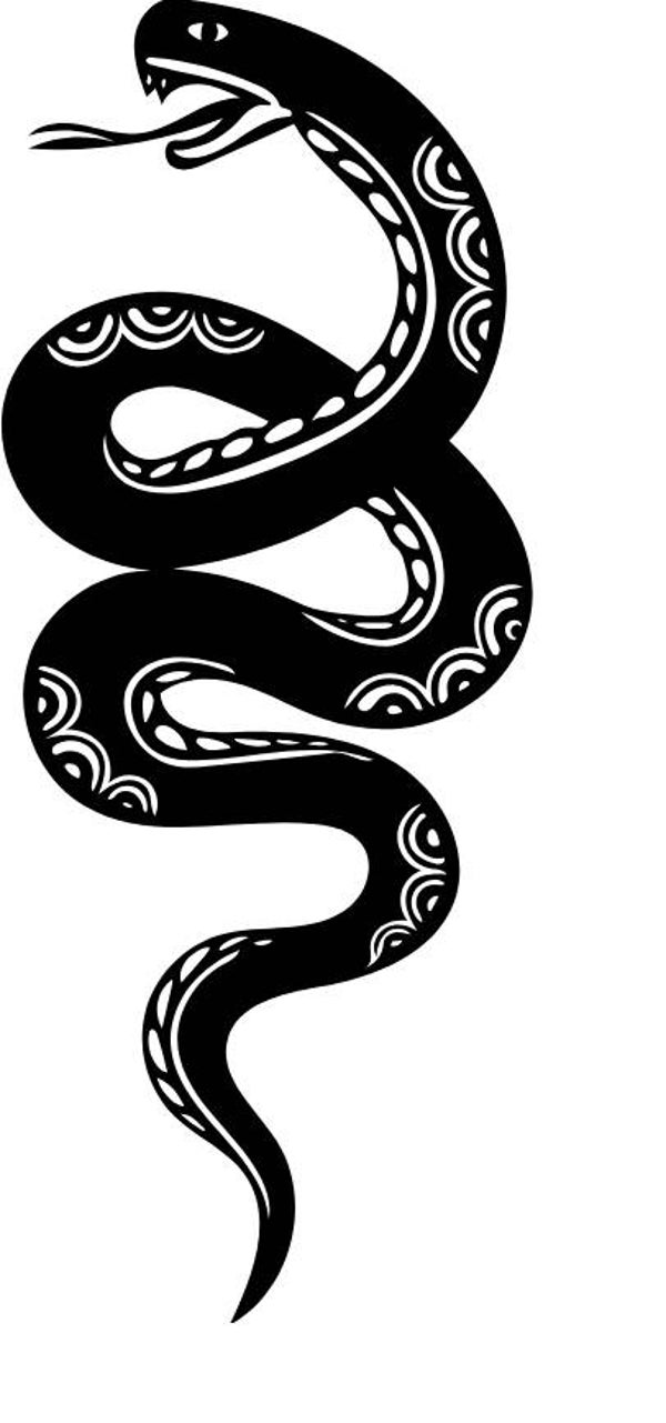 Corporate Top Keyhole Schlange 21