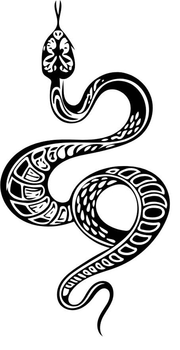 Turtleneck Short Top Schlange 23