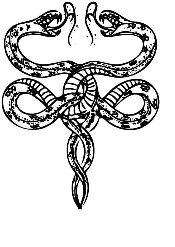 Turtleneck Short Top Schlange 27