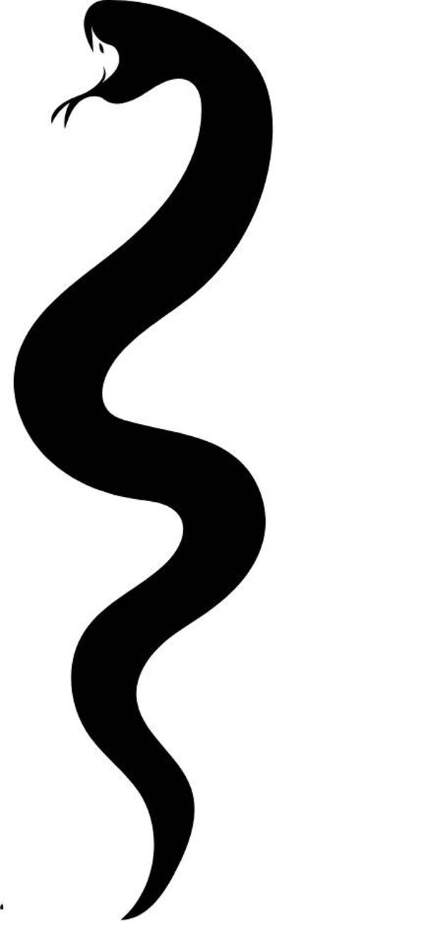 Turtleneck Short Top Schlange 4