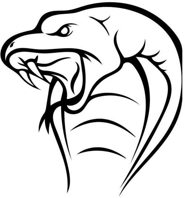 Turtleneck Short Top Schlange 5