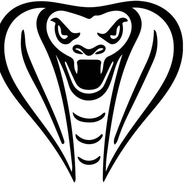 Langes Shirt/ Kleid Schlange 6