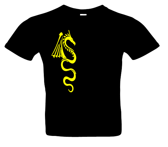 Herren Drachen 2 T-Shirt Glitzer