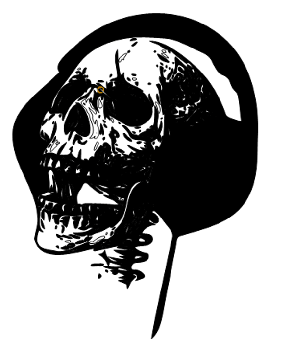 Frauen Pullover Totenkopf 28