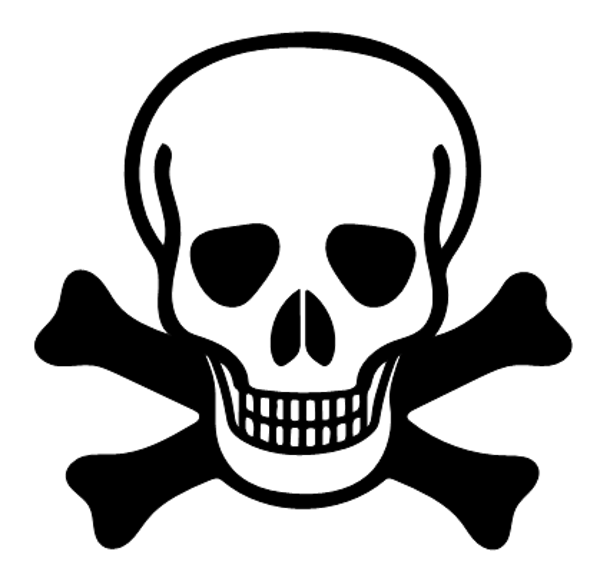 Frauen Pullover Totenkopf 300