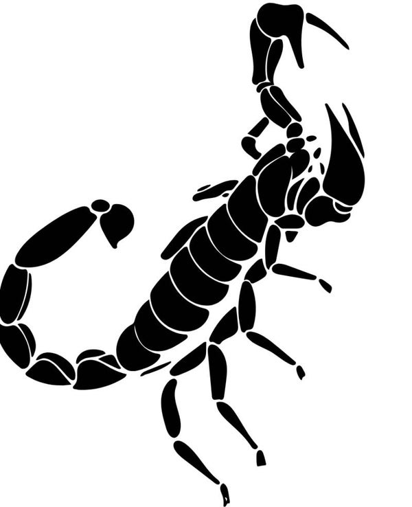 Turtleneck Body Skorpion 2