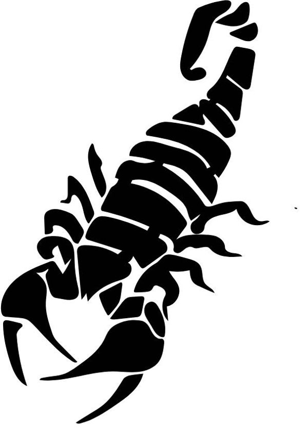 Langes Shirt/ Kleid Skorpion 4