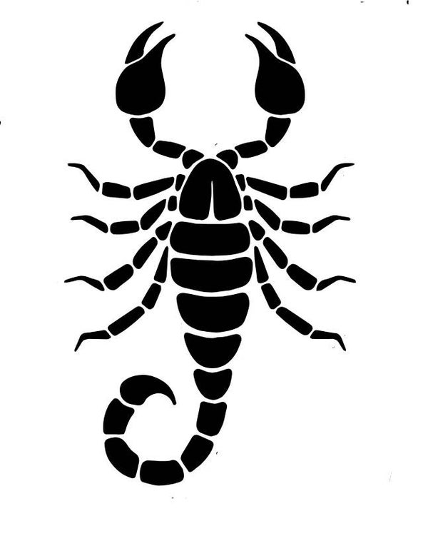 Kinder Skorpion 5 T-Shirt