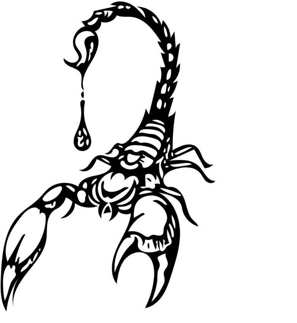 Kinder Skorpion 6 T-Shirt