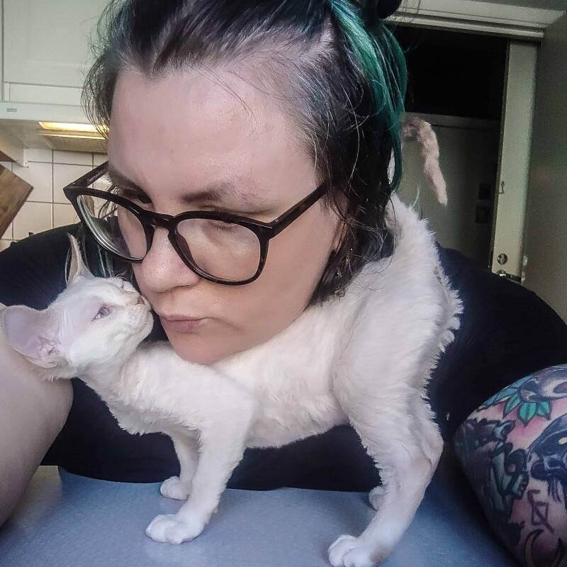 Devonrex kattunge - SE* Well Borns Vaiana - Well Borns katteri i Falköping