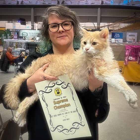 LaPerm hane- Supreme Champion SE* Well Borns BC Lord of the rings - Uppfödare i Falköping