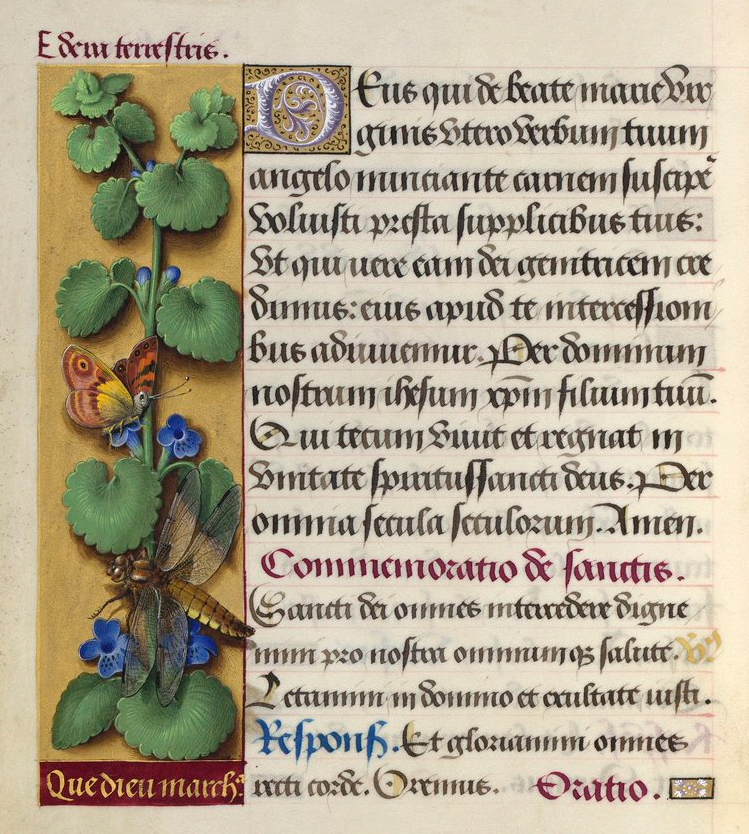 Jean Bourdichon, Horae ad usum Romanum, dites Grandes Heures d'Anne de Bretagne. 1503-1508.