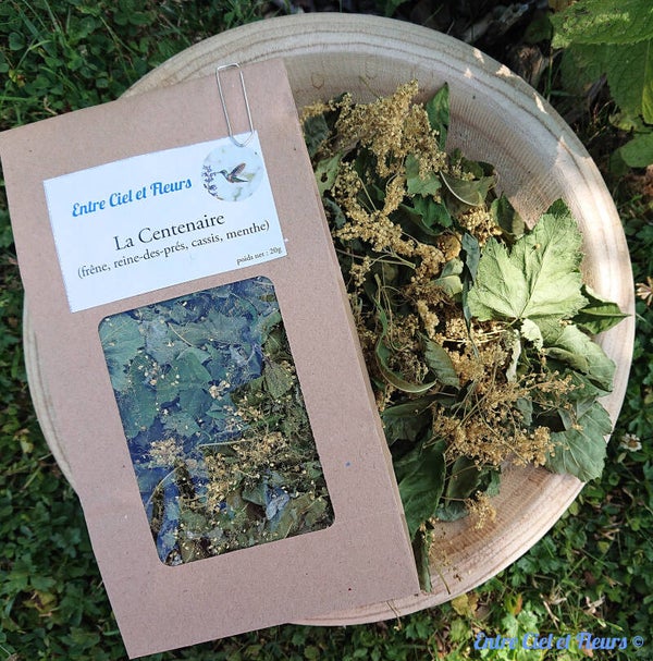 La Centenaire