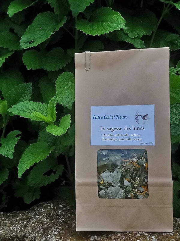 Tisane Sagesse des Lunes