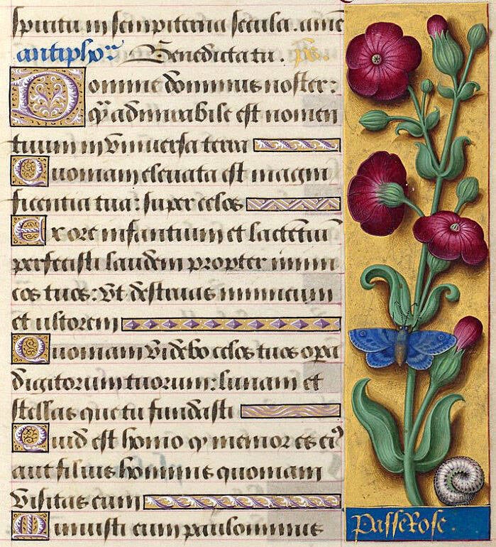Jean Bourdichon, Horae ad usum Romanum, dites Grandes Heures d'Anne de Bretagne. 1503-1508.