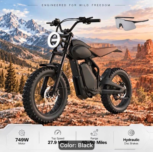 Electric bike