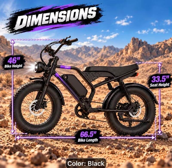 Electric Bike