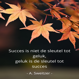 mr_succesisnietdesleuteltotgeluk.png