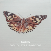 Judith-5.png