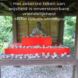 mr_hetzekerstetekenvanwijsheid-2.png
