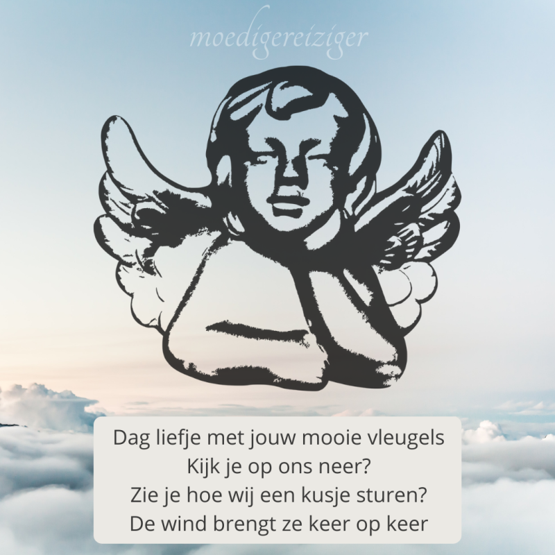 MR_metjouwmooievleugels.png